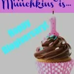 Muscles and Munchkins is 1 today! Check out WHY I blog on this BlogTalk Tuesday!